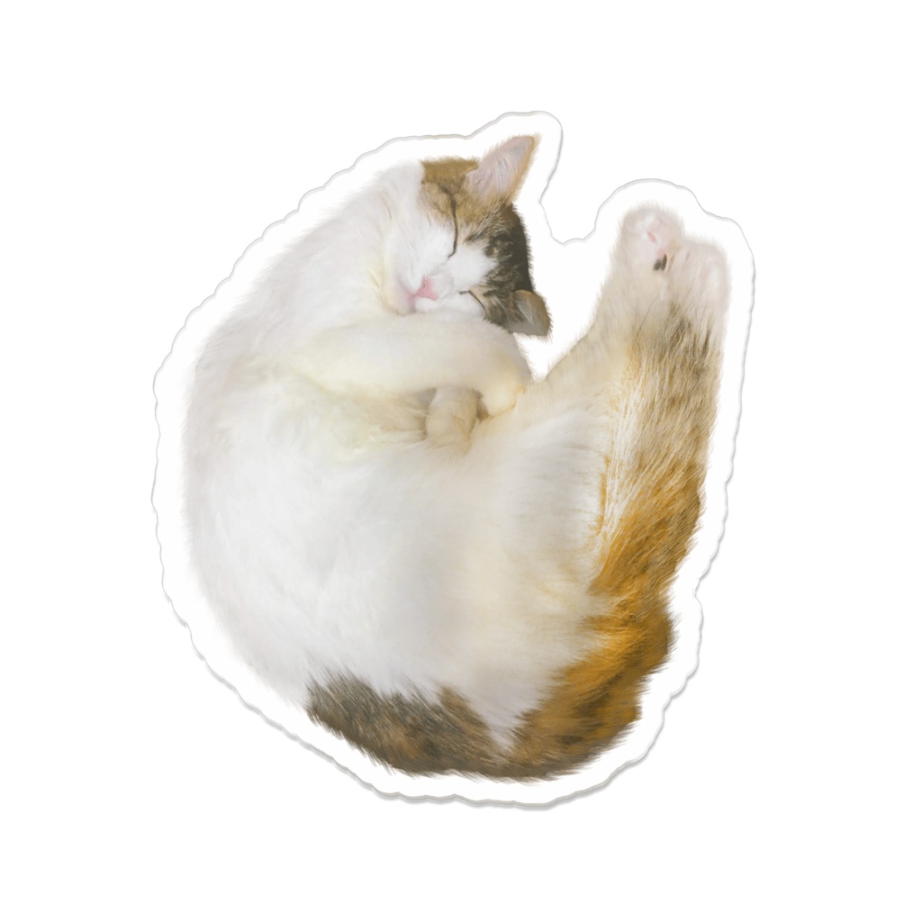 居眠りMOMOのアクリルバッジ 70 x 70 (mm)