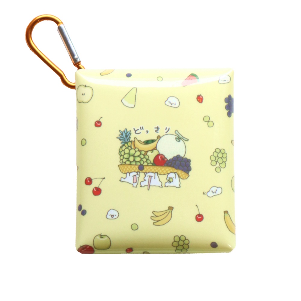 ちいさなものケース