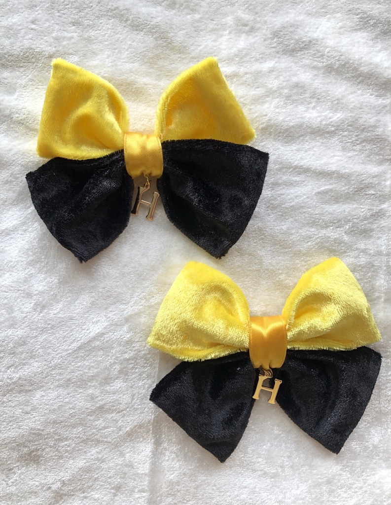 寮イメージリボン-H-