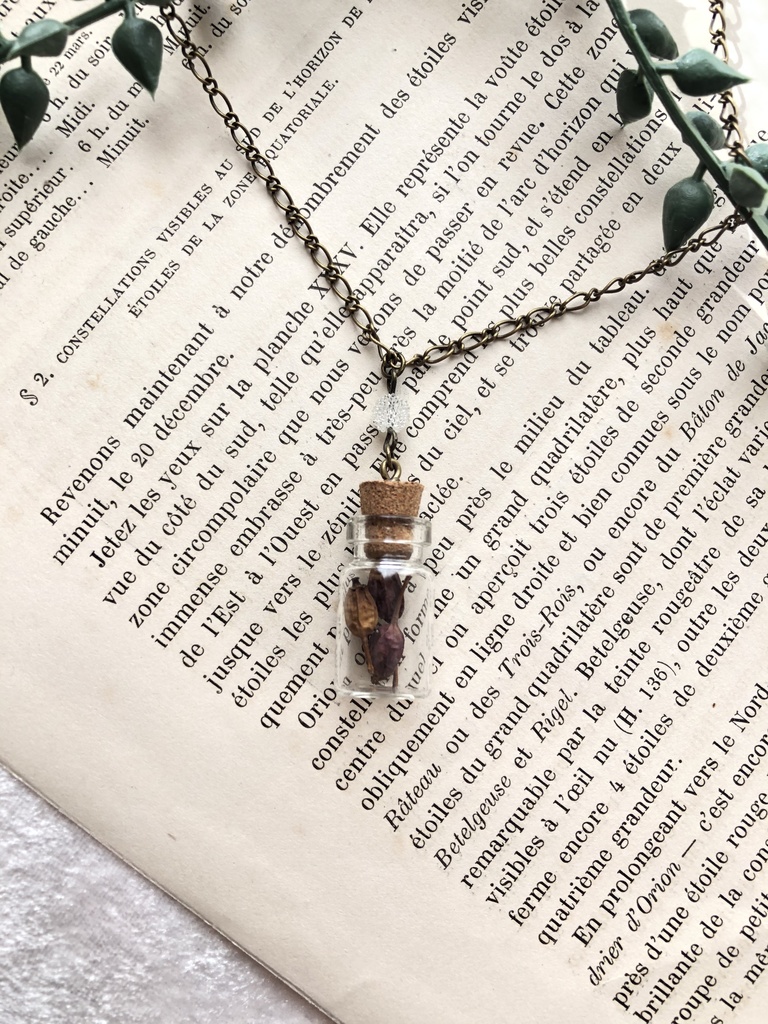 魔法使いの植物標本