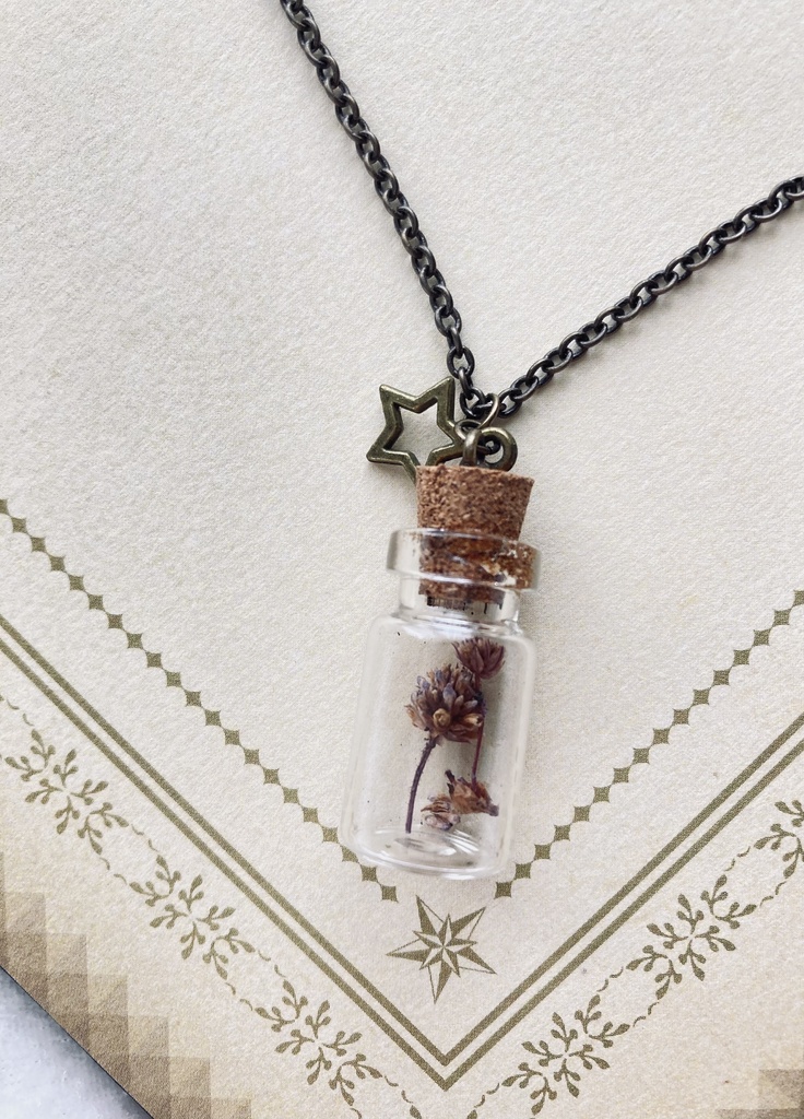 魔法使いの植物標本