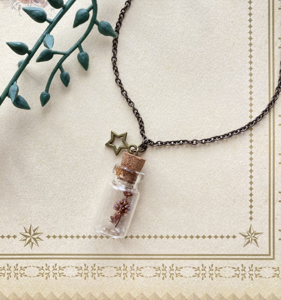 魔法使いの植物標本