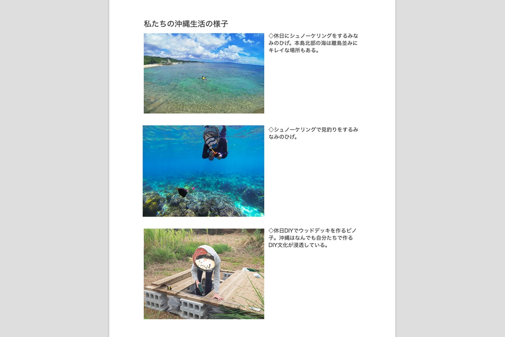 みなみの家の沖縄移住本(沖縄移住ライフハック電子書籍版)