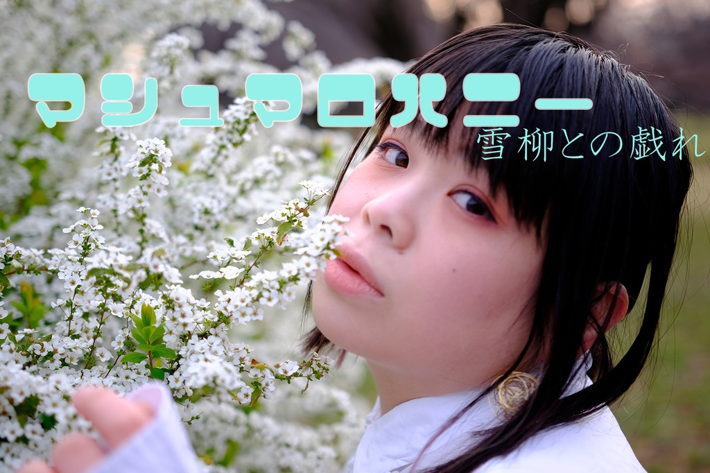 雪柳との戯れ