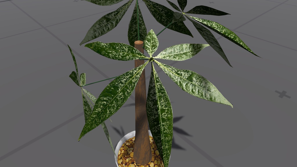 【VRC】低容量の観葉植物「パキラ」【単品】