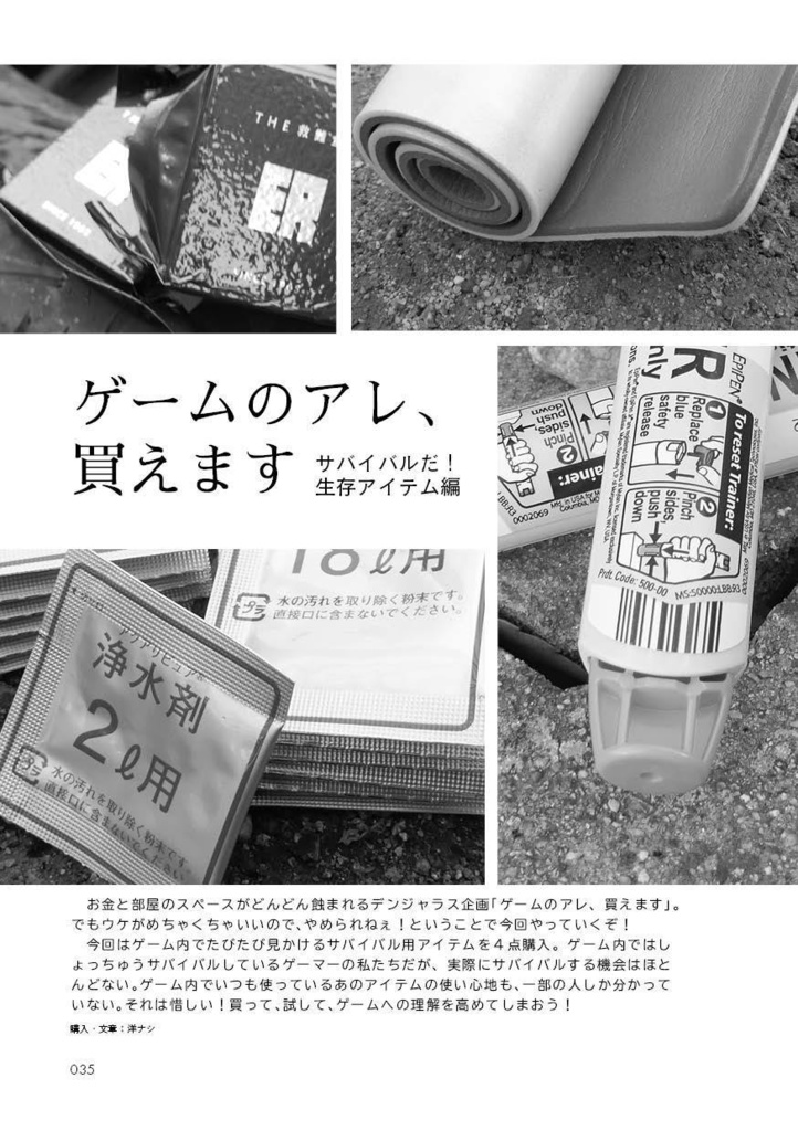 【PCゲーム情報同人誌】PGO: Approach