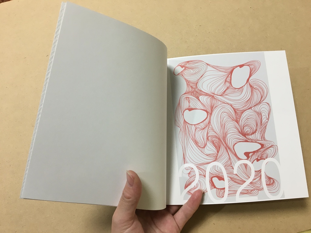 hasami 2020Illustration book