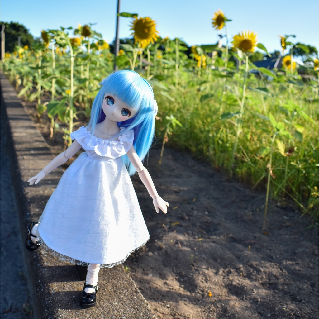 フロールワンピース(MDD)