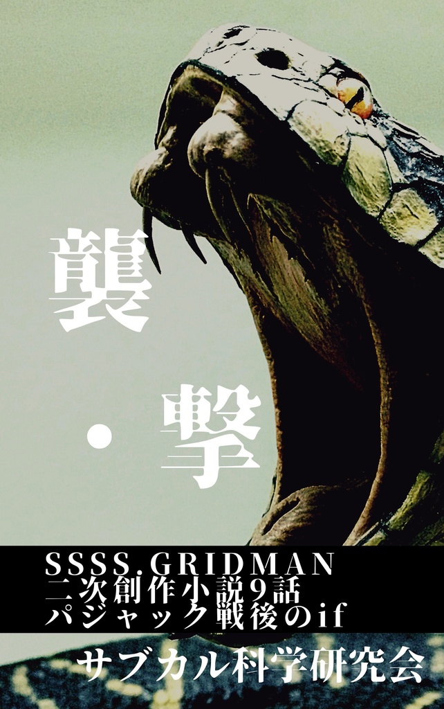襲・撃　SSSS.GRIDMAN 二次創作小説 9話パジャック戦後のif