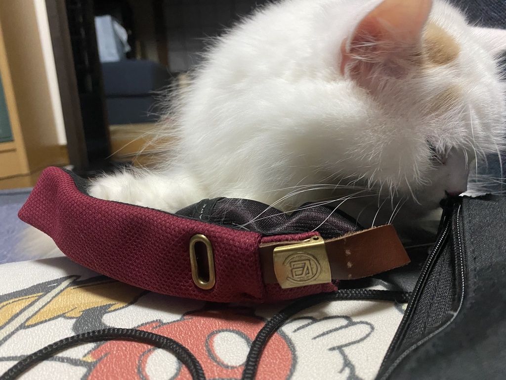 I Am.BOCCHi パーカー