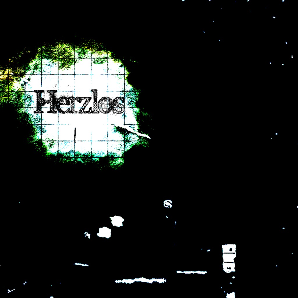 6th Album 「Herzlos」