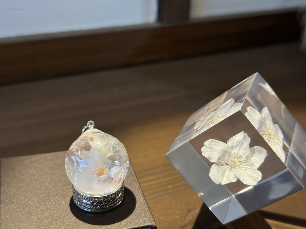 ソメイヨシノ 2025春限定 2/28 21:00〜3/7まで受付