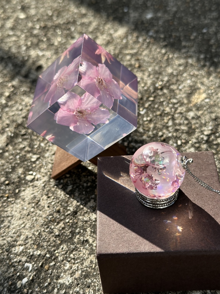 八重 2025春限定 2/28 21:00〜3/7まで受付