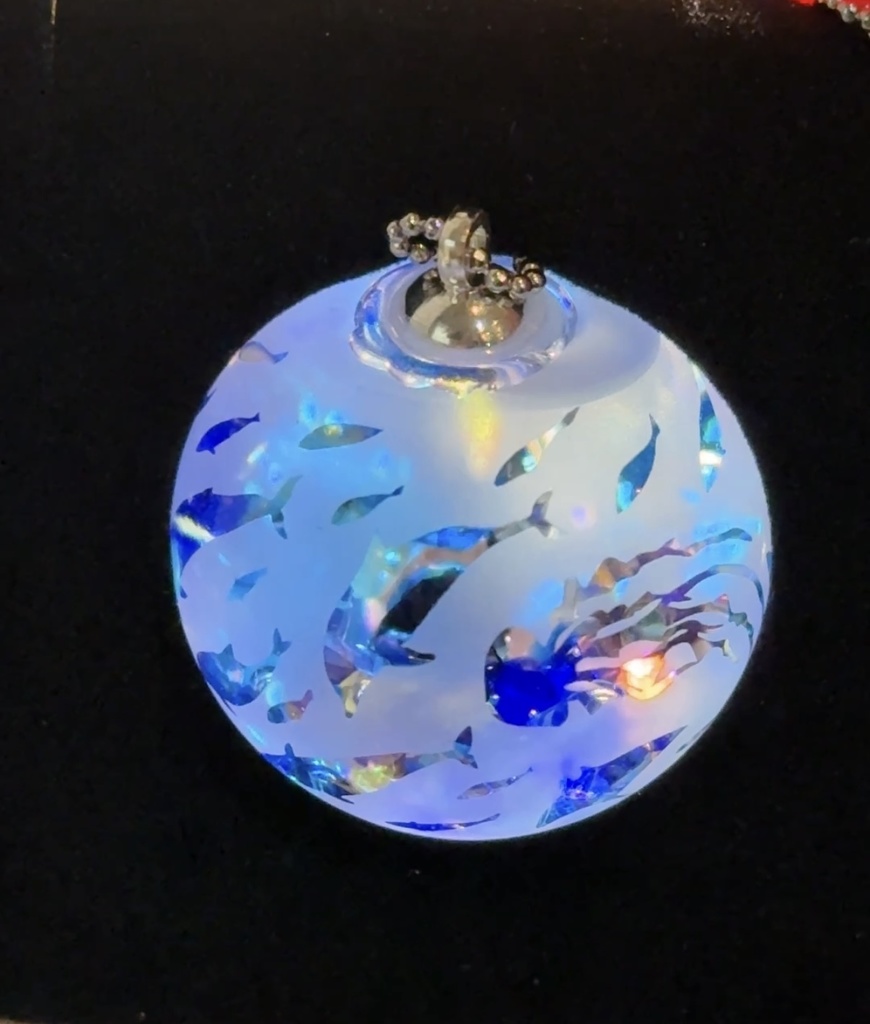 山口瑛未×nekomataコラボ 「anima蒼」2025/11/21/21:00〜受付