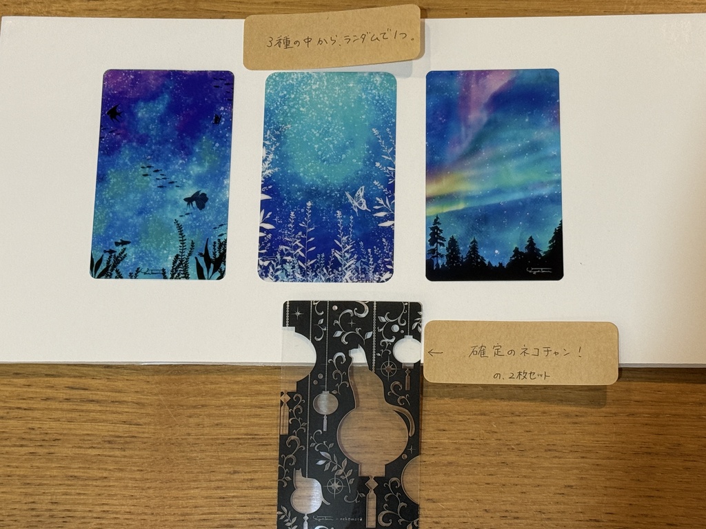 台湾ランタン　透明栞　山口瑛未による柄入りランダム3種　