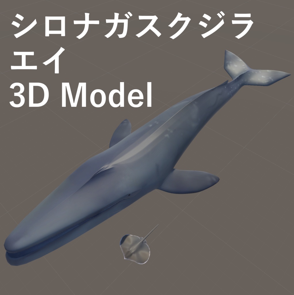Vrc対応 シロナガスクジラとエイ 3dモデルセット Tachikoma3dmodels モデル置き場 Booth