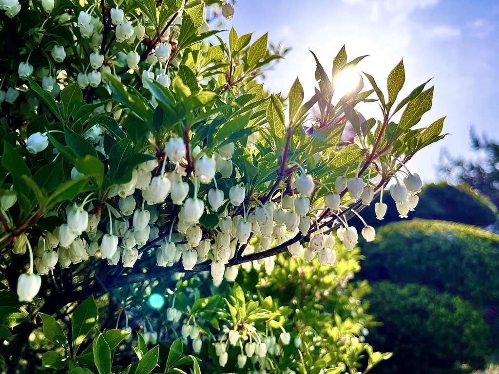 ｜自然風景スマホ壁紙セット（3枚・4K）