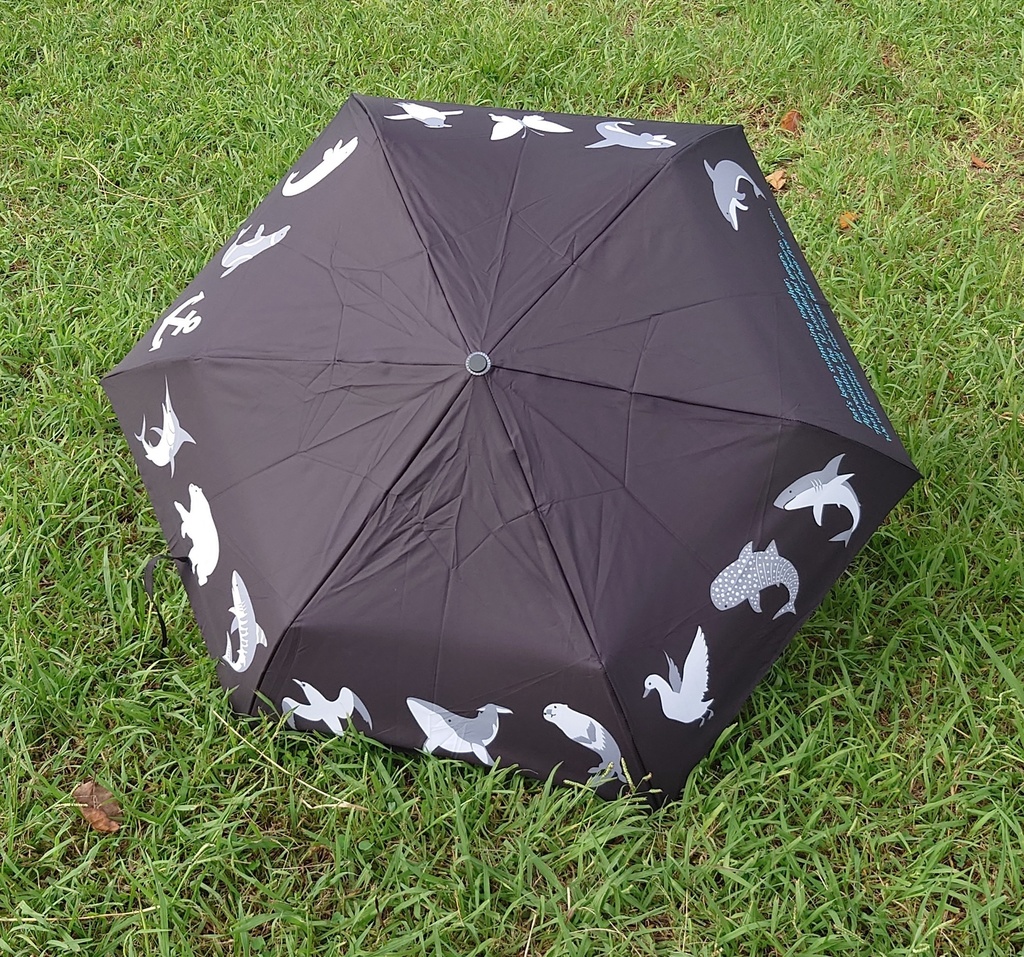 折り畳み傘(袋付き)