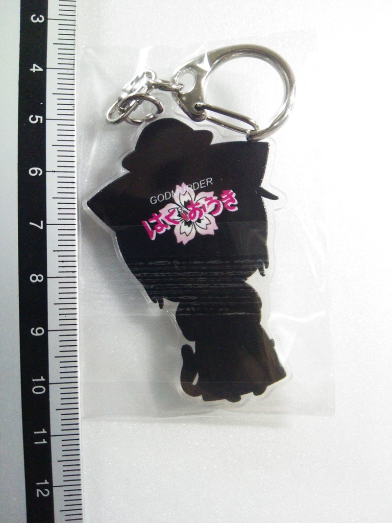 アクリルキーホルダー H