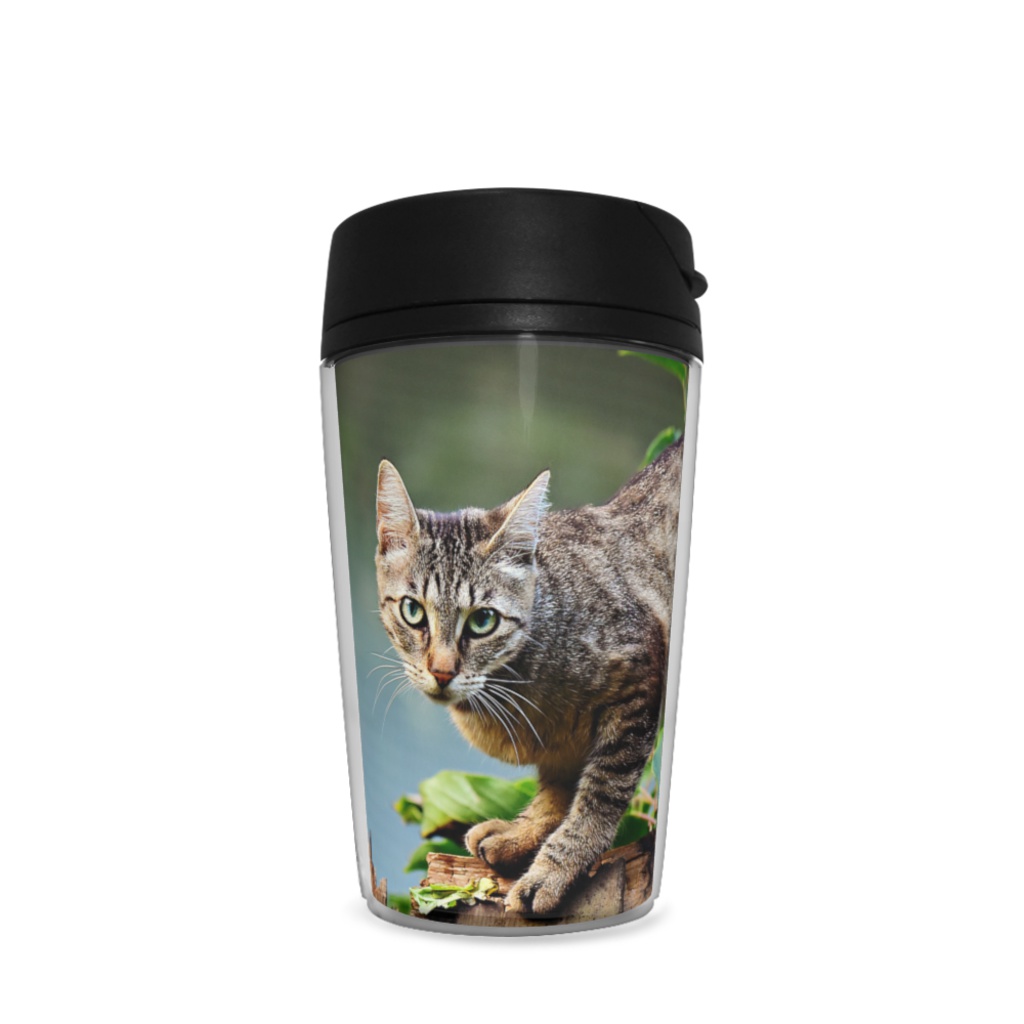 タンブラー アニマル3