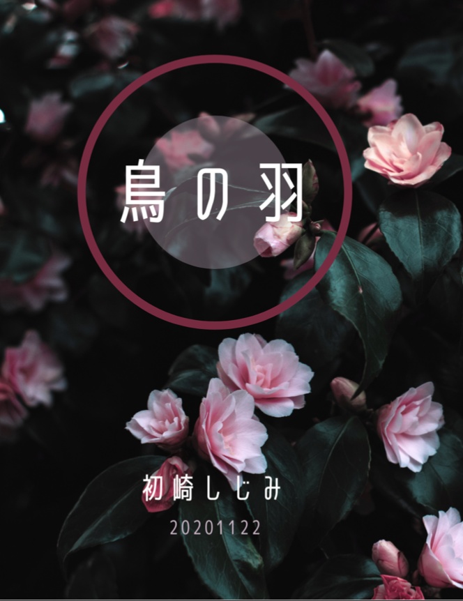 鳥の羽