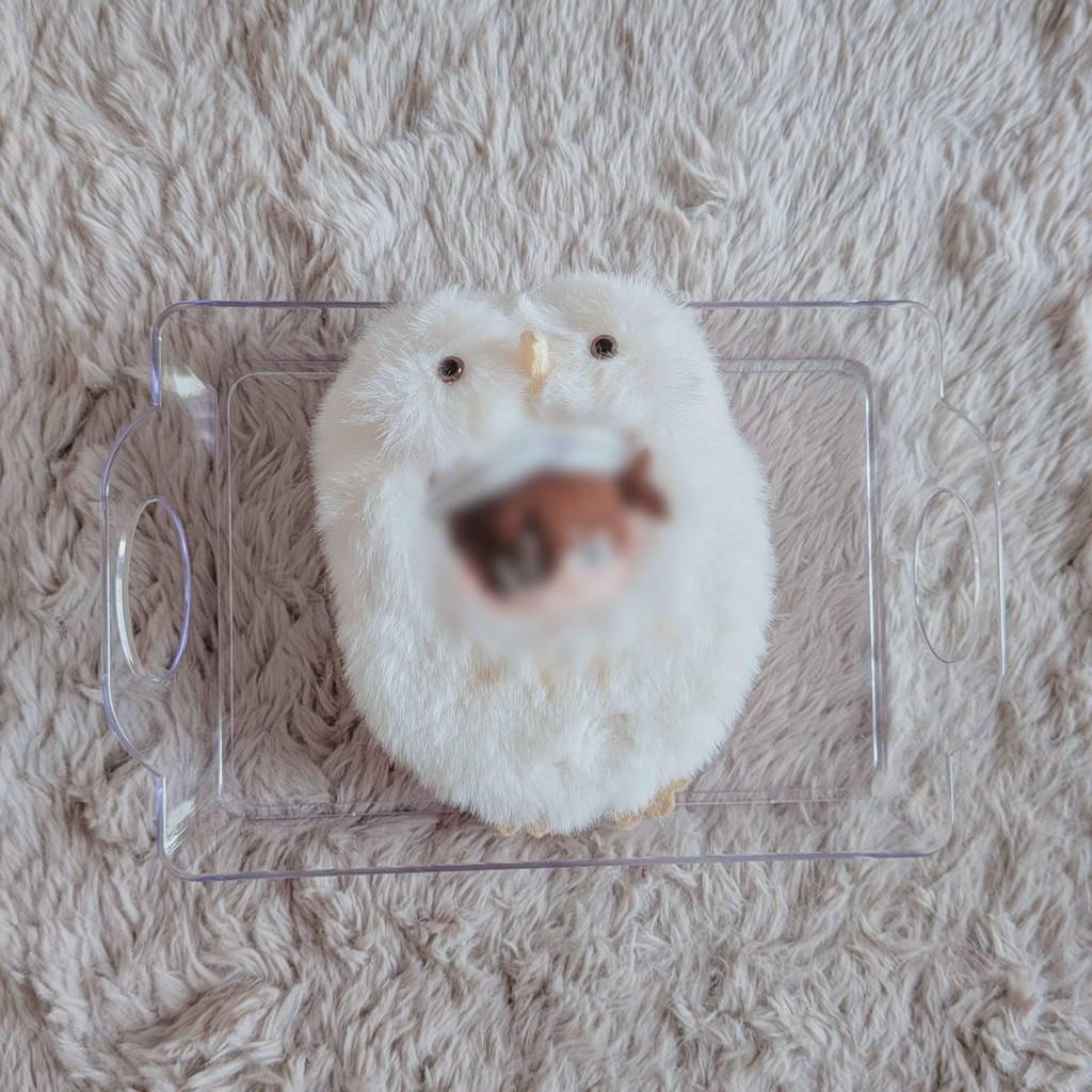 🦉 ぬい服 ほわぬい 🤎