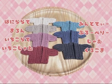 受注生産🍓ビスチェ兼ケープ&スカートセット(無ぬい10、ボニバニ6、TinyFox対応)