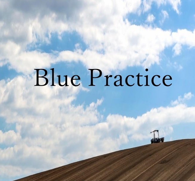 Blue Practice記録集