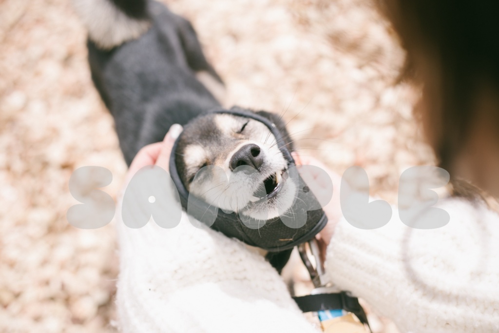 【紙媒体】Gohan*Hana photobook【最終在庫!!】