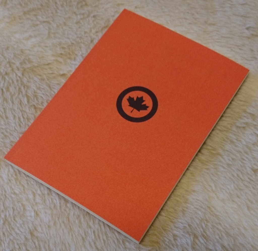 A2Pのメープル煮<作品集>【あんしんBOOTHパック発送】