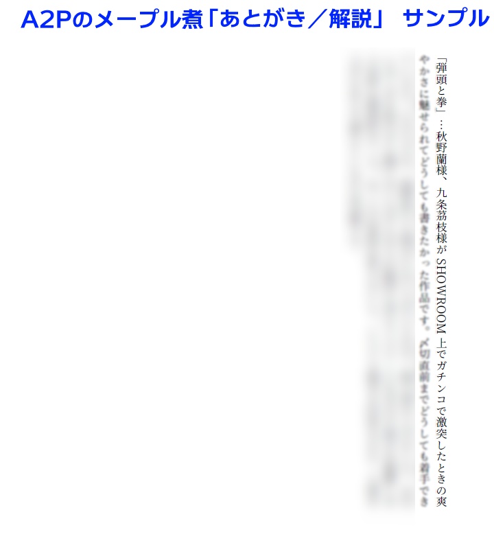 A2Pのメープル煮<作品集>【あんしんBOOTHパック発送】