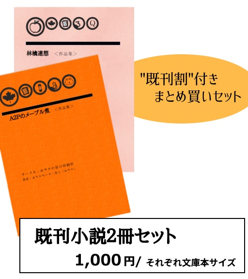 小説・ライトノベル まとめ売り（305冊）-