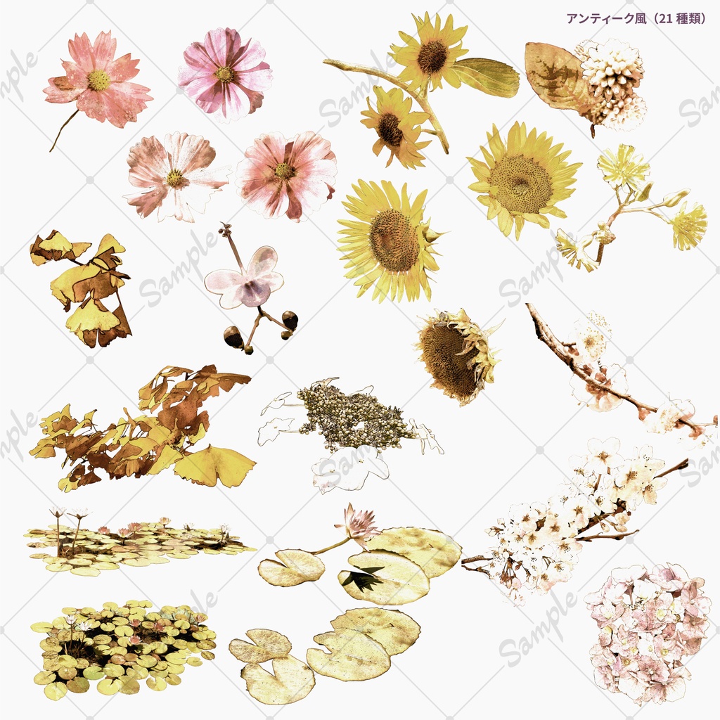 水彩風花素材集