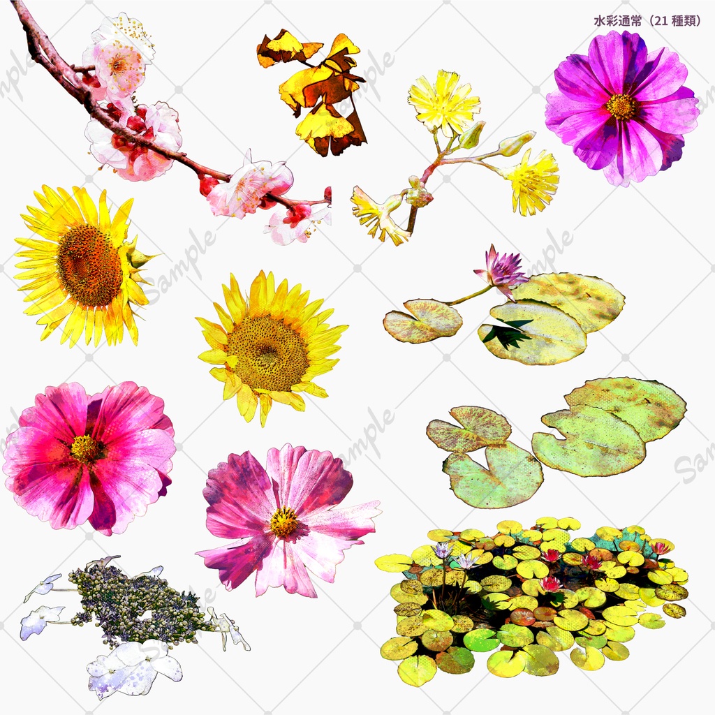 水彩風花素材集