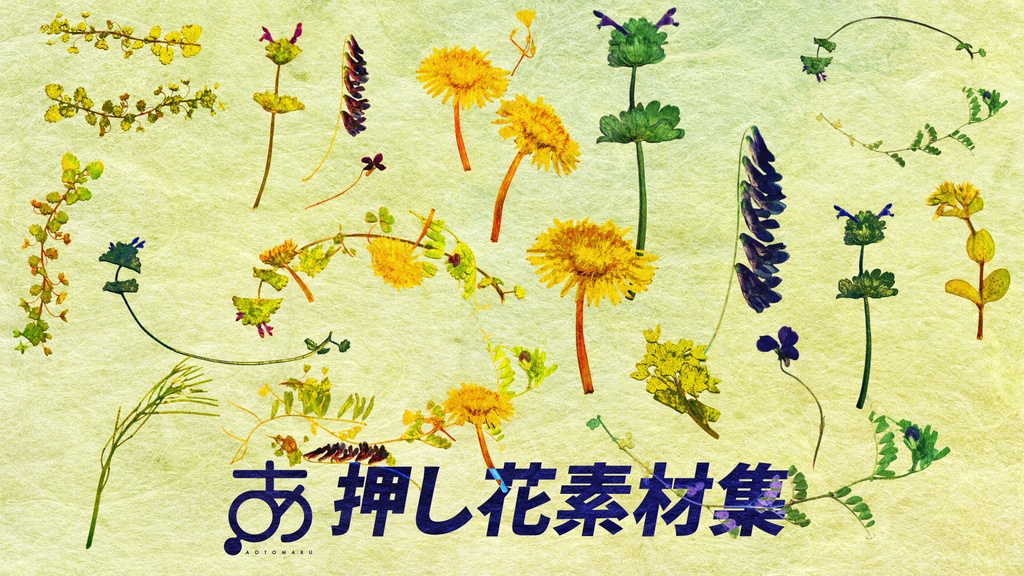 押し花素材