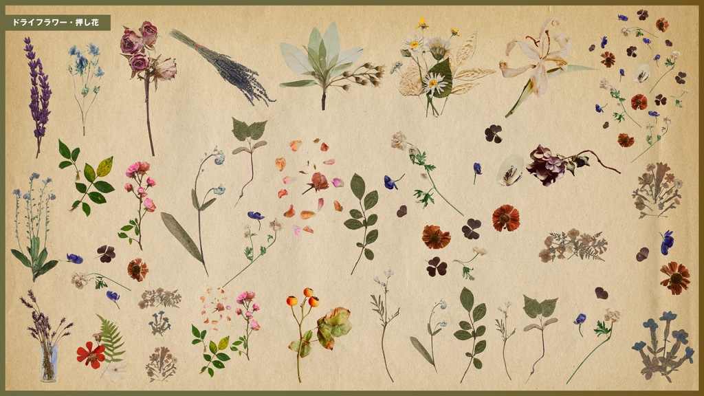 【無料/有償】自然の記憶コラージュ素材