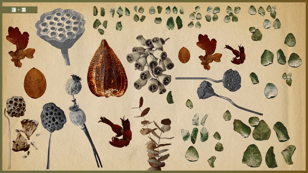 【無料/有償】自然の記憶コラージュ素材