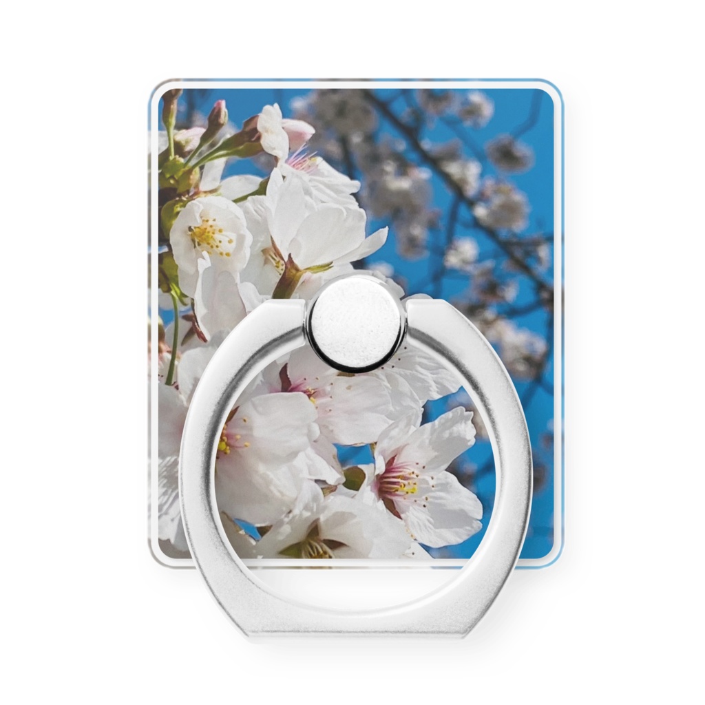 スマホリング【桜】