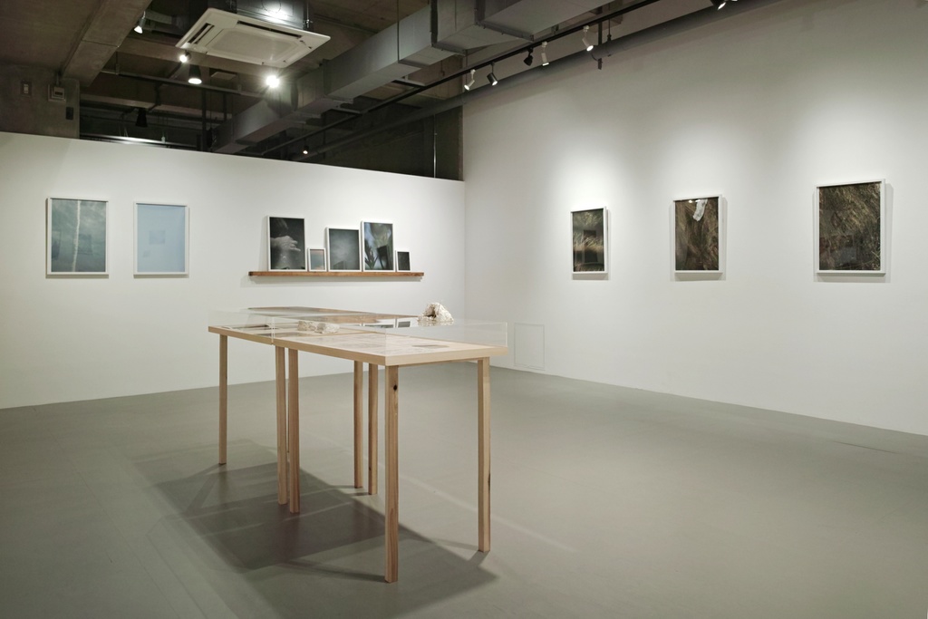 「横たわろう、通過せよ」paper + カード