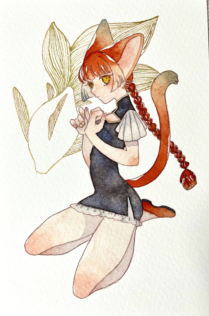 赤猫
