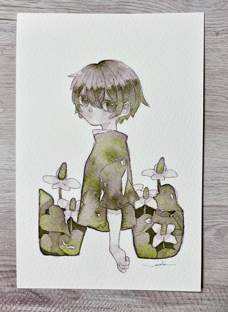 蕺草