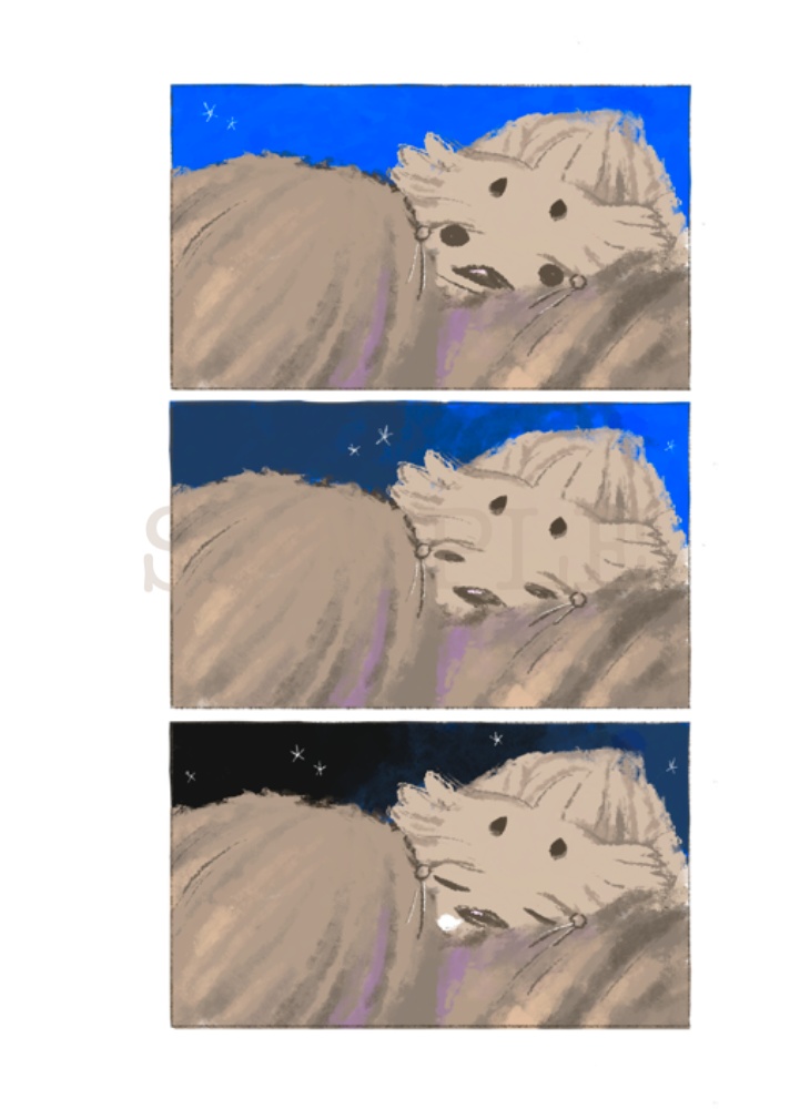 星の海に落ちる