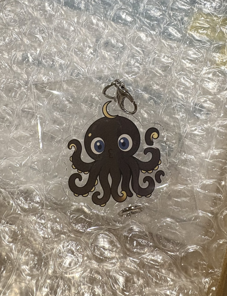 ましろさん返礼品🐙(半周年)