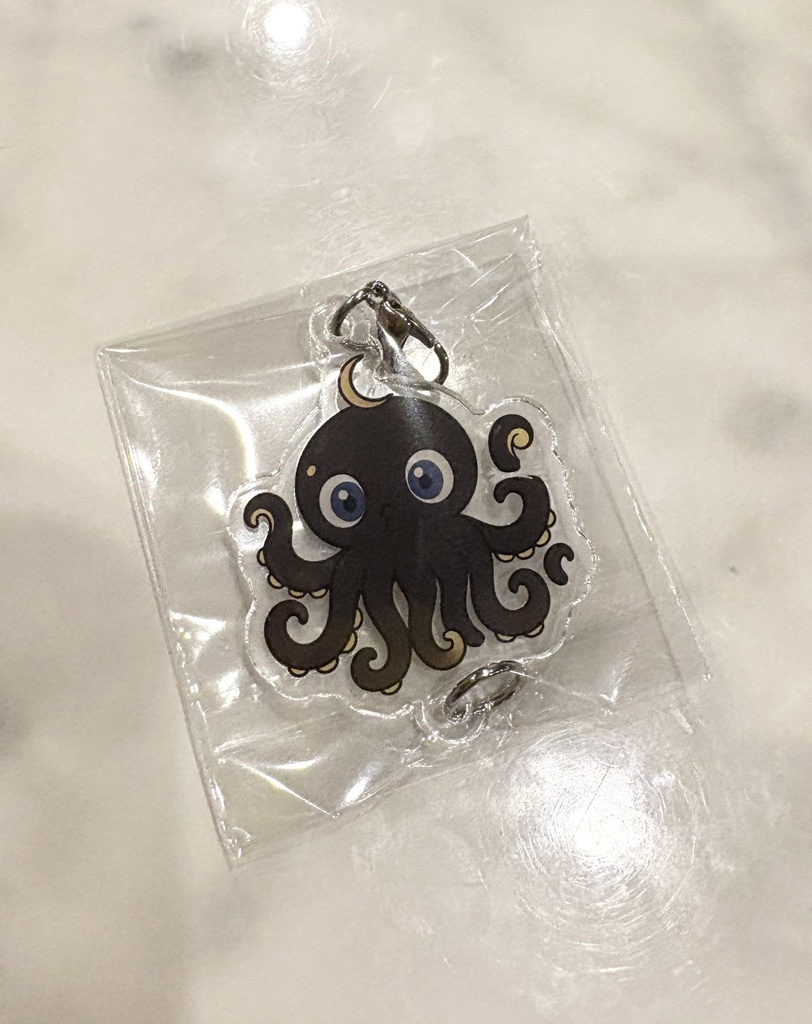 ましろさん返礼品🐙(半周年)