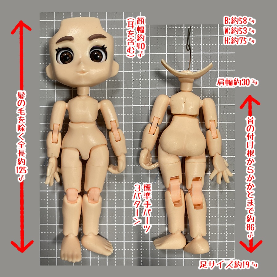 【創作人形】Muido(ムイドー)Aタイプ 本体セット