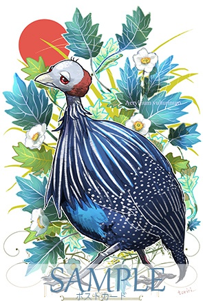 フサホロポストカード