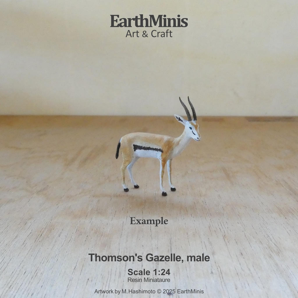 1/24スケール トムソンガゼル(オス) 動物ミニチュア素材 ホワイト
