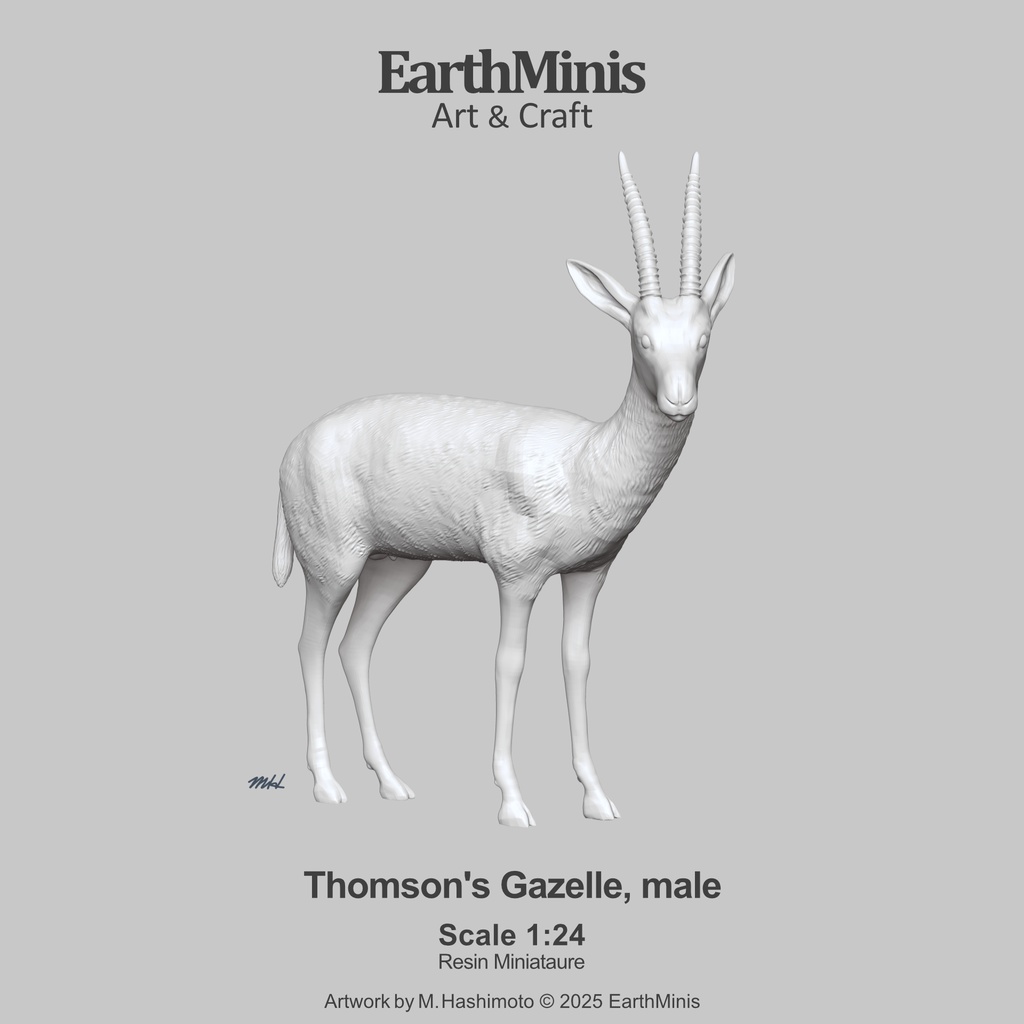 1/24スケール トムソンガゼル(オス) 動物ミニチュア素材 ホワイト