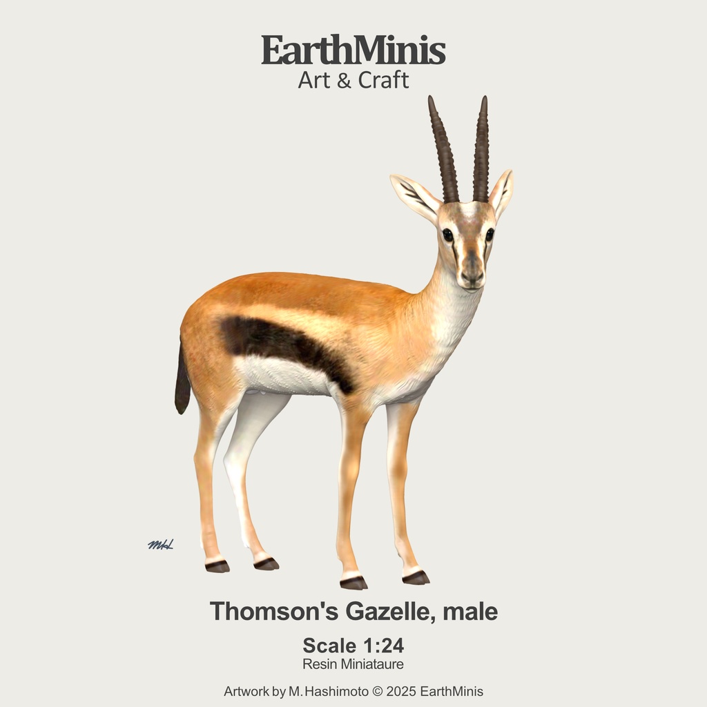 1/24スケール　トムソンガゼル(オス)　動物ミニチュア素材　ホワイト