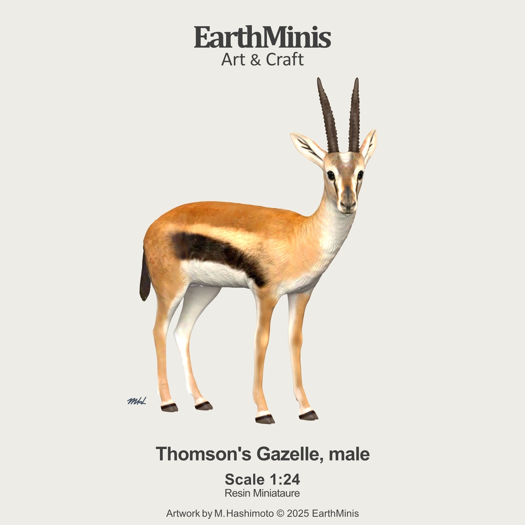1/24スケール トムソンガゼル(オス) 動物ミニチュア素材 ホワイト